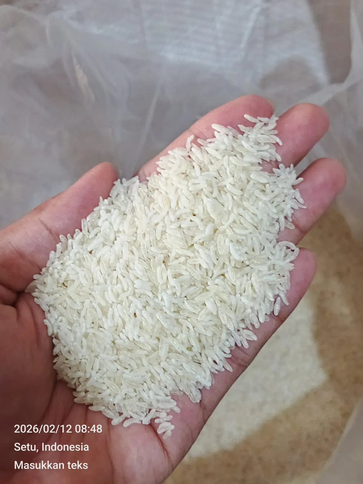 Kemasan retail 1 KG Beras Porang Barooka